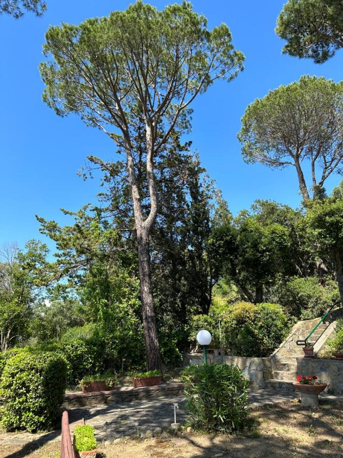 Appartamenti Portiglioni-Belvedere Puntone di Scarlino Ngoại thất bức ảnh